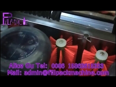 अर्ध-स्वचालित डीकैपिंग बैरल वॉशिंग मशीन जिसमें डबल वॉशिंग सीट है